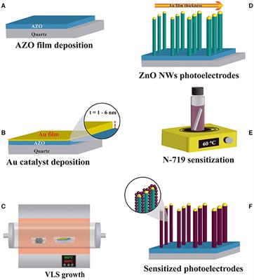 ZnO Nanowires/N719 Dye With Different Aspect Ratio as a Possible Photoelectrode for Dye-Sensitized Solar Cells